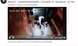 视频爆料家暴,视频爆料揭示家暴残酷现实