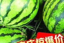 定州大瓜爆料视频,一场引人入胜的真相大曝光