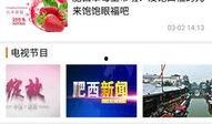 肥西女婿爆料视频大全,揭秘背后惊人真相